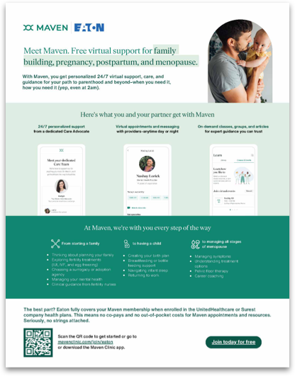 Maven Flyer